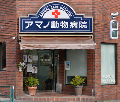 日本ペットオーナーズクラブ ペット保険で１０年以上の実績 日本初 ペットあんしんケア制度 登録動物病院一覧